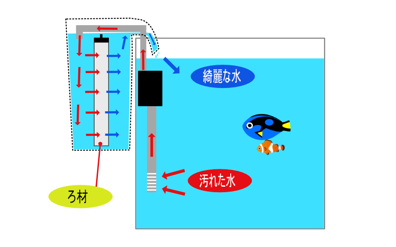 水槽用ろ過装置の種類とそれぞれのメリット デメリット 初心者におすすめ 沖縄県の釣りポイント